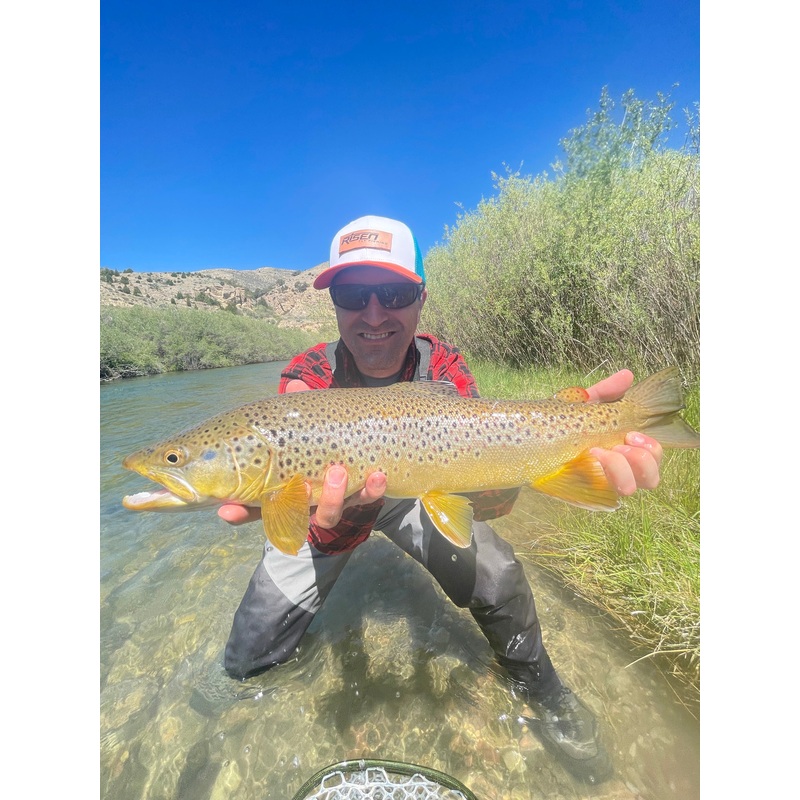 Trout Kit