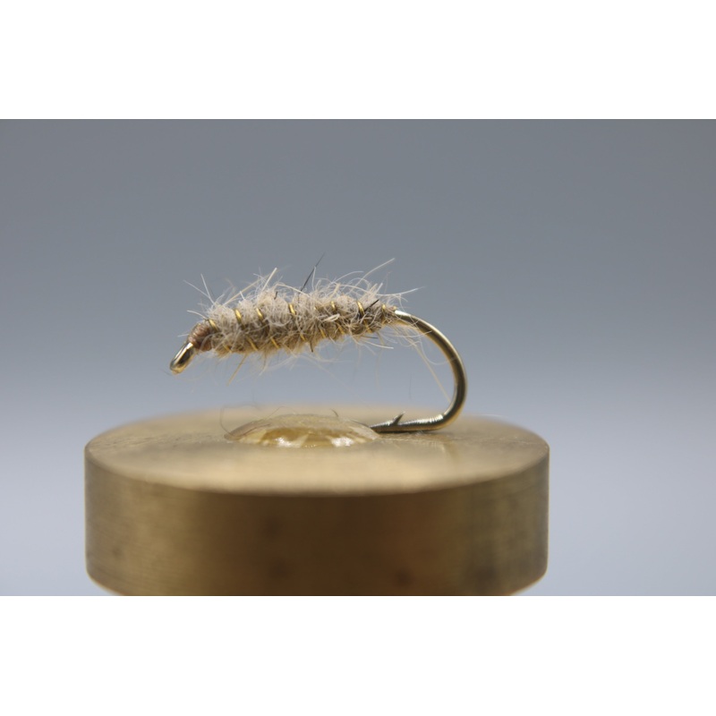 Walts Worm