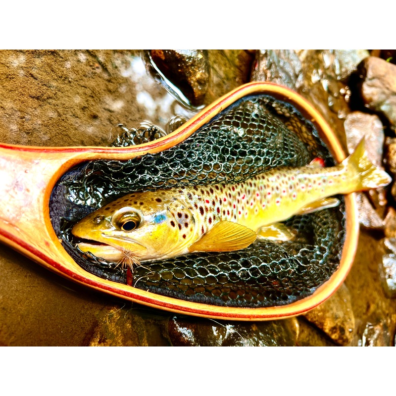 Blue Line Net – Small