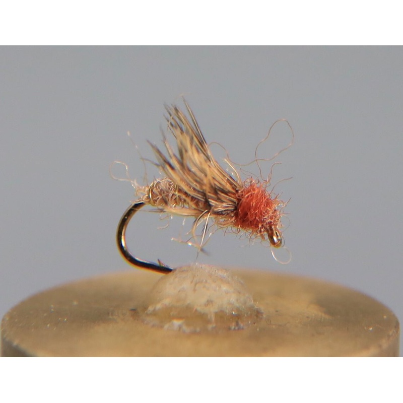 Caddis Pupa