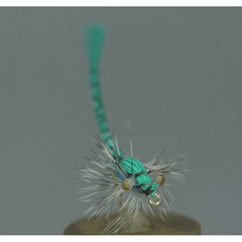 Damsel Fly