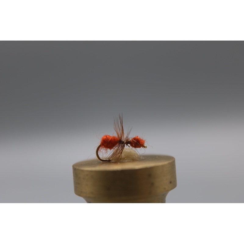 Fur Ant Dry