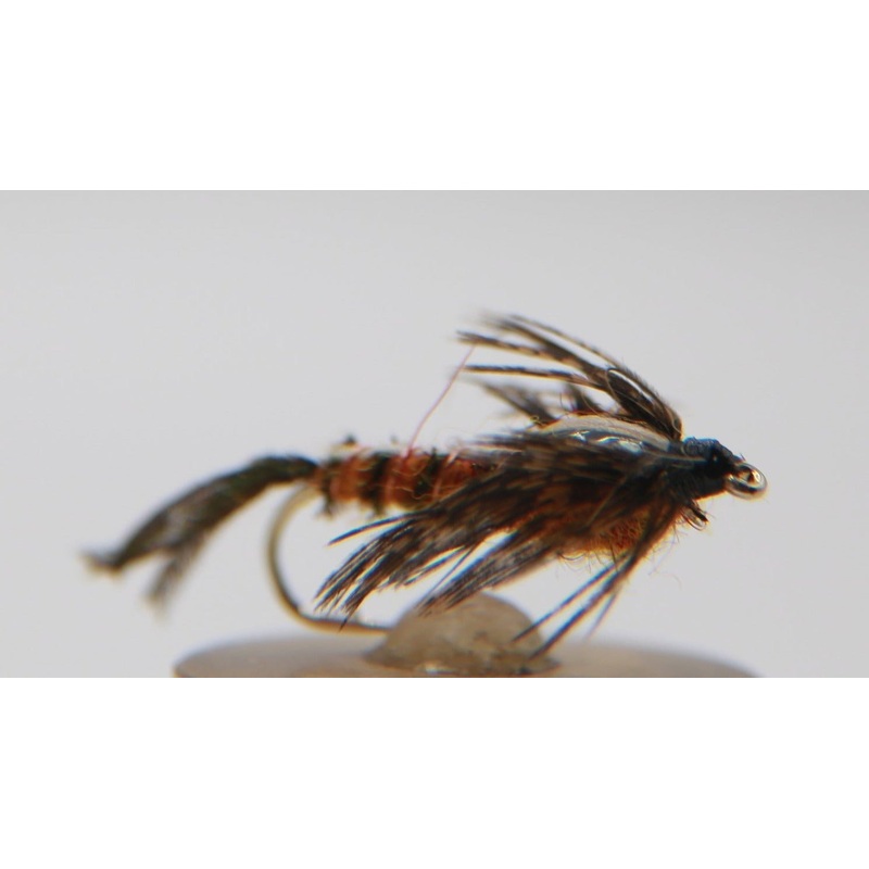 Isonychia Nymph