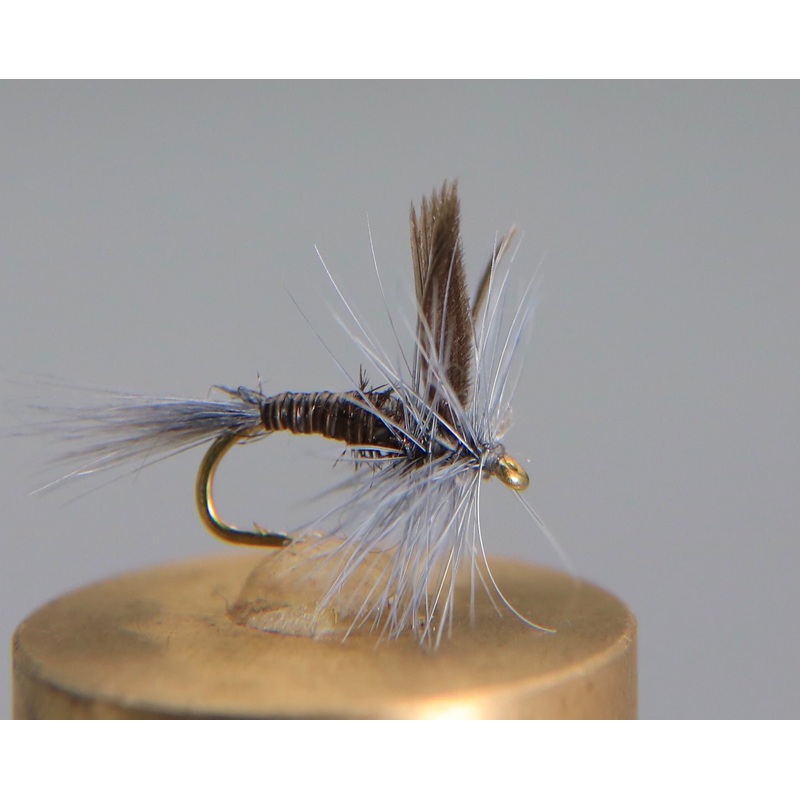 Quill Blue Dry