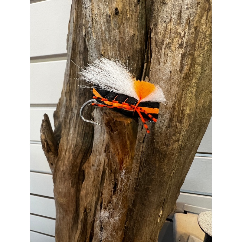RF Brood Cicada