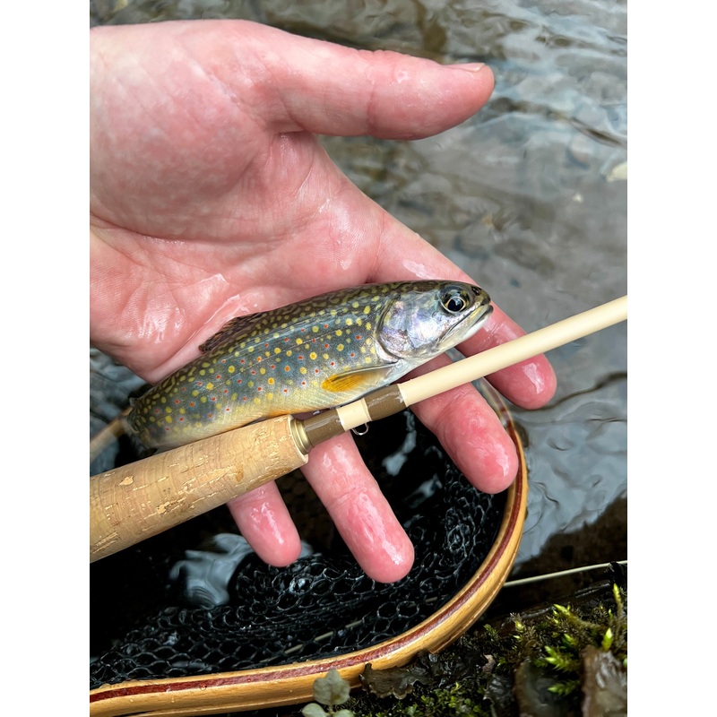 WLR Rod and Reel Combo
