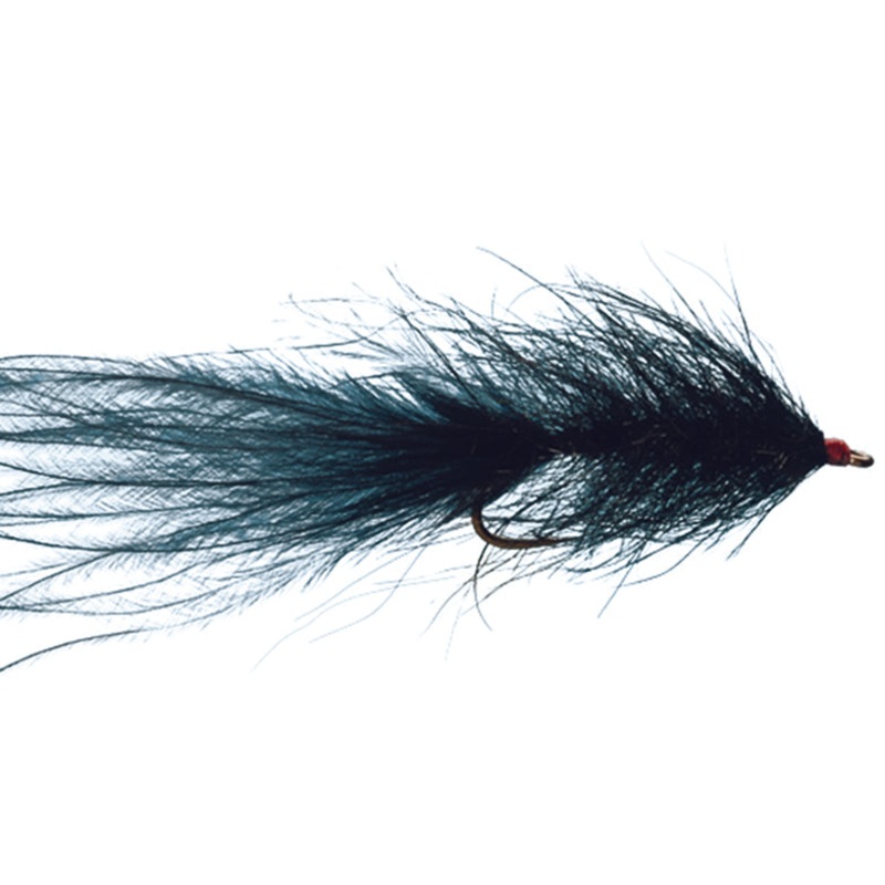 Hale Bopp Leech by Solitude