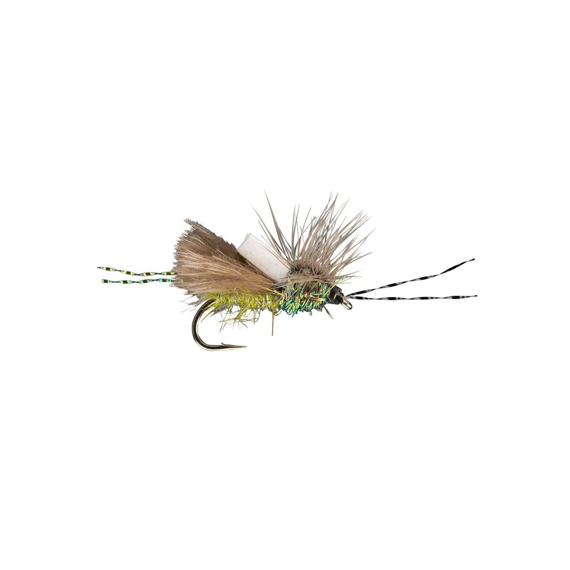 RIO’s Crime Scene Caddis
