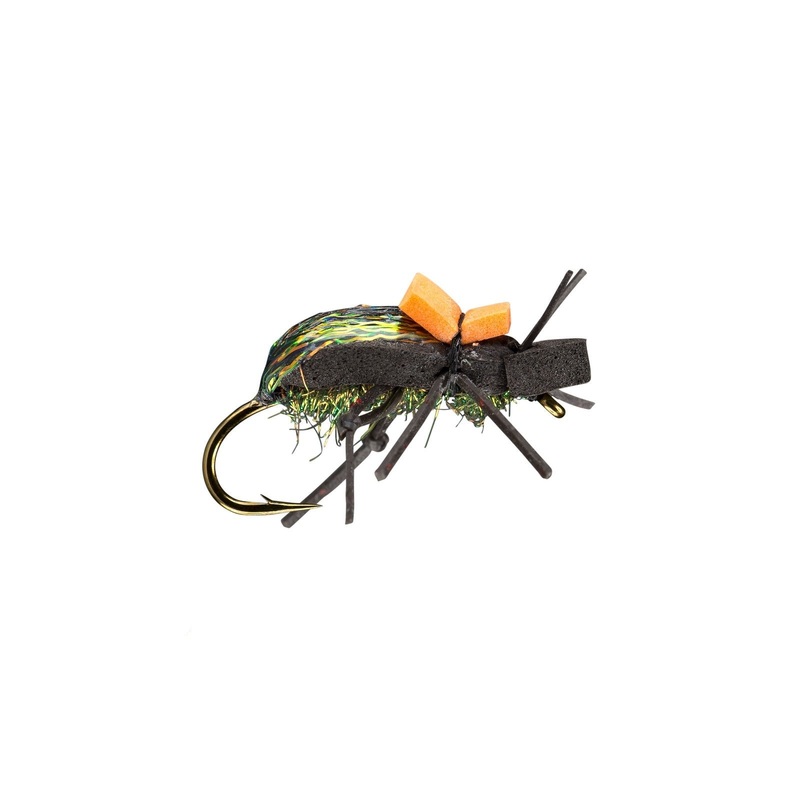 RIO’s Ground Beetle