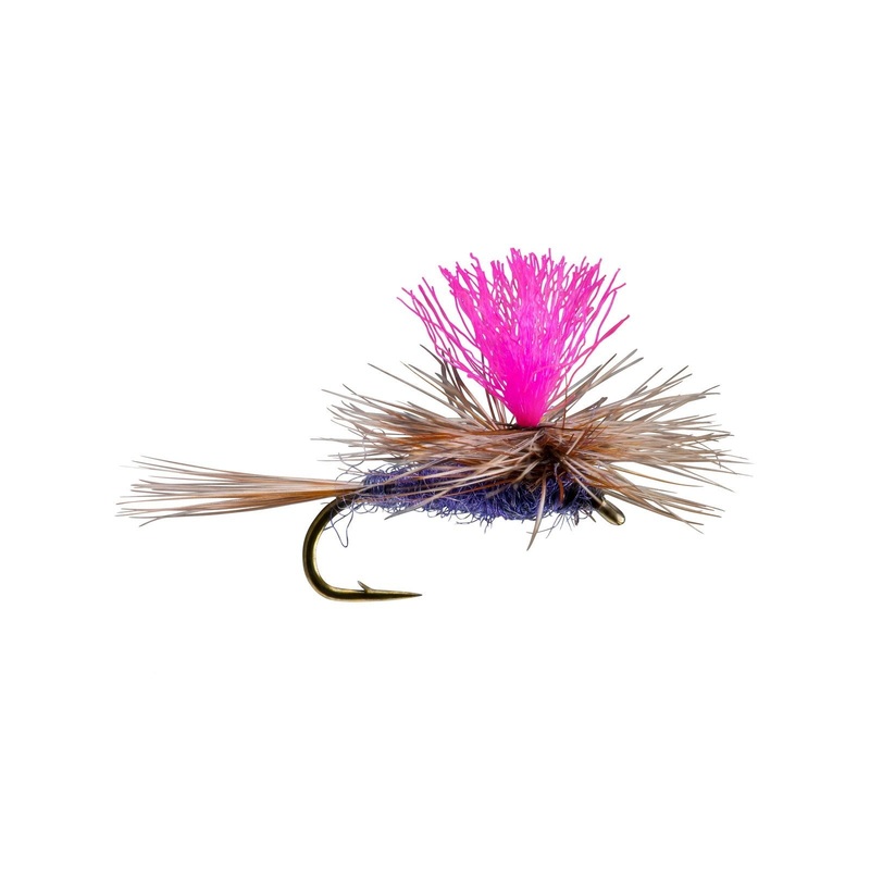 RIO’s Hi Vis Parachute Purple Haze