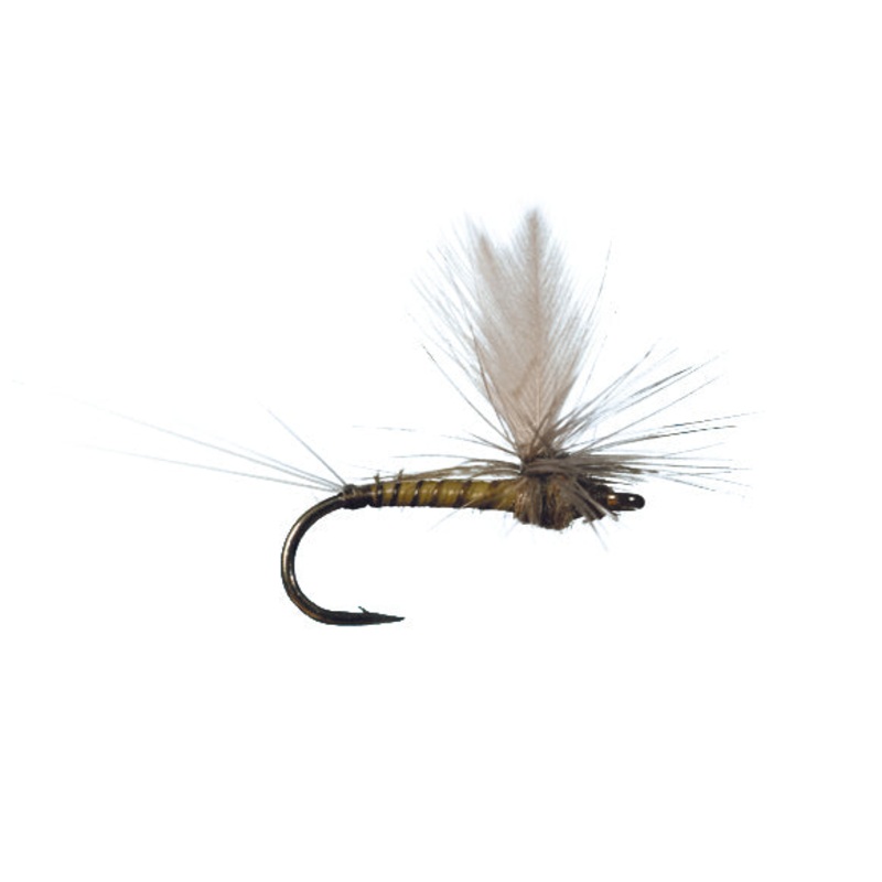 Winger Parachute BWO by Solitude