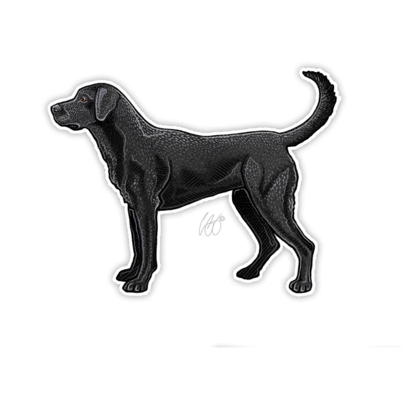 Casey Underwood Black Lab Decal