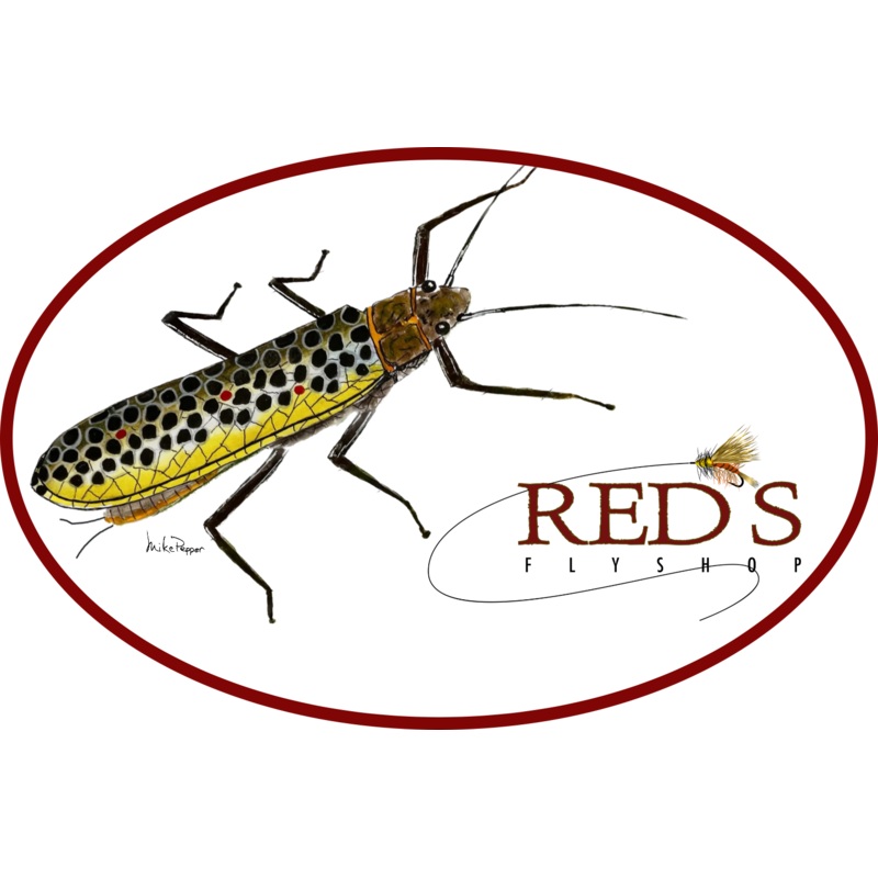 Brown Trout Stonefly // 5″  Sticker