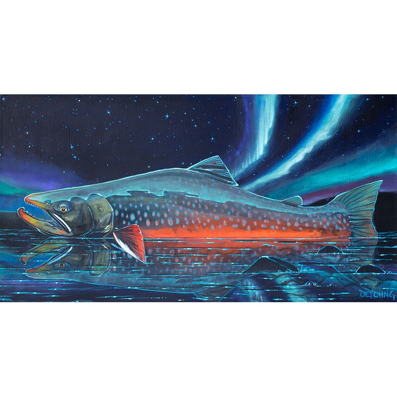 DeYoung Arctic Char – Northern Lights Canvas Print