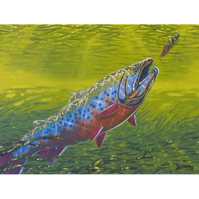 DeYoung Brookie On Leech Canvas Print
