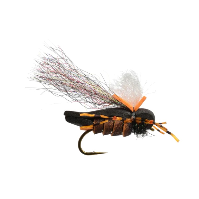 Mason’s Hipster Doofus Cicada by Rainy’s