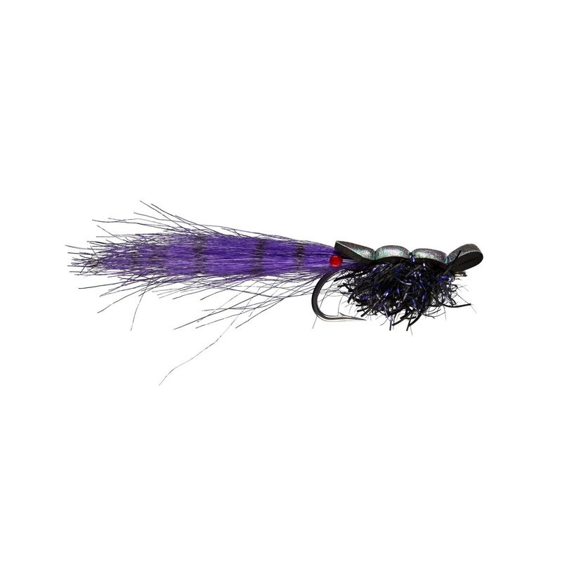 RIO’s Guido Shrimp