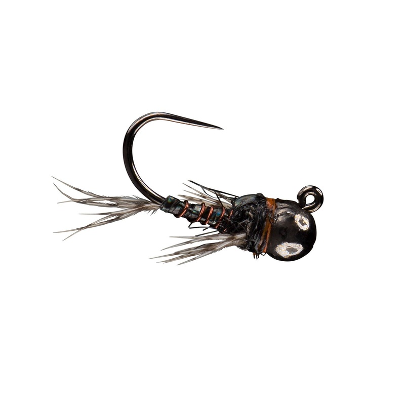 RIO’s Morrish Sparkle Donkey TB
