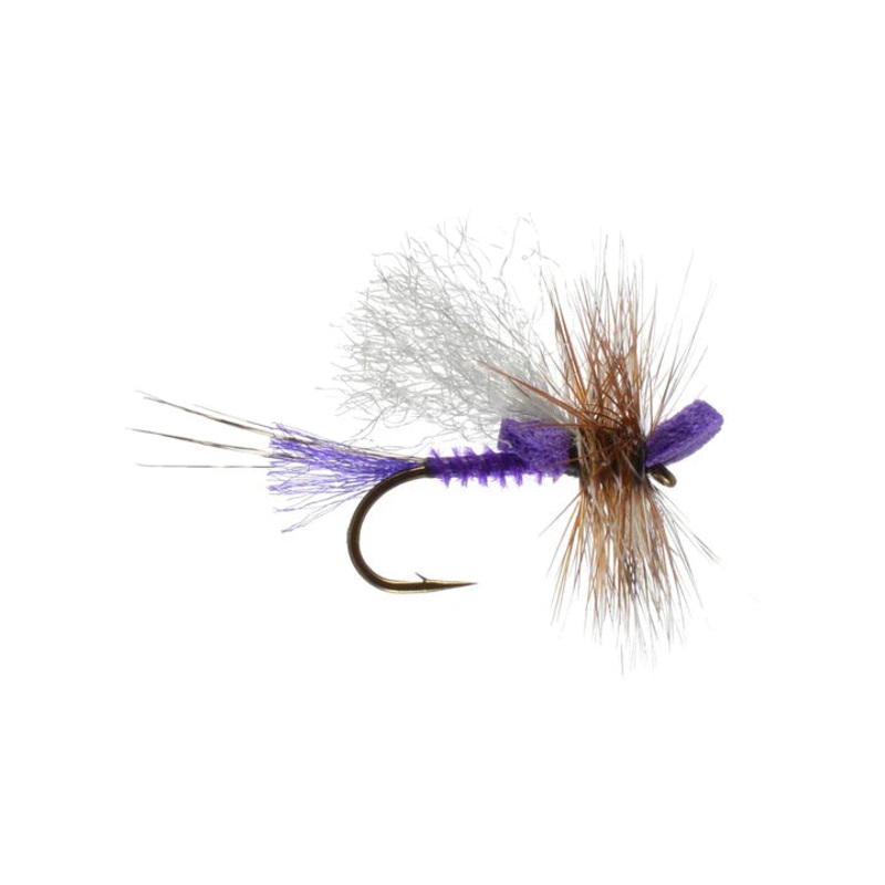 Mason’s Mighty Morsel Purple By Rainy’s