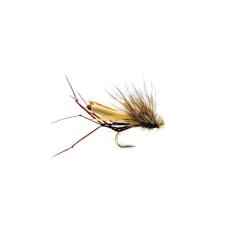 The DaddyHog Crane Fly by Fulling Mill // Crane Fly