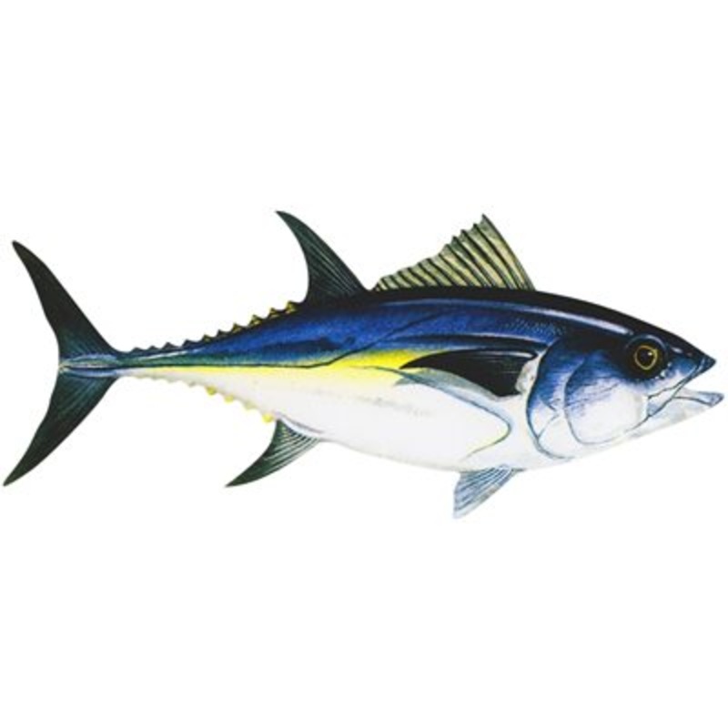 DCL115 – Decal Bluefin Tuna .86″ x 2.00″ (C437)