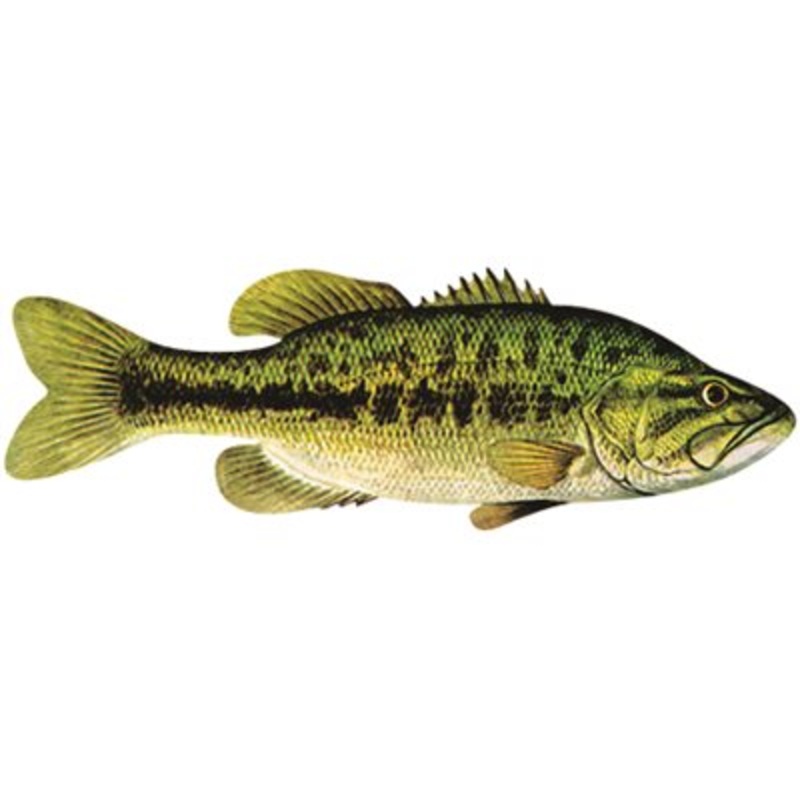 DCL155 – Decal Largemouth Bass .42″ x 1.27″ (C403)