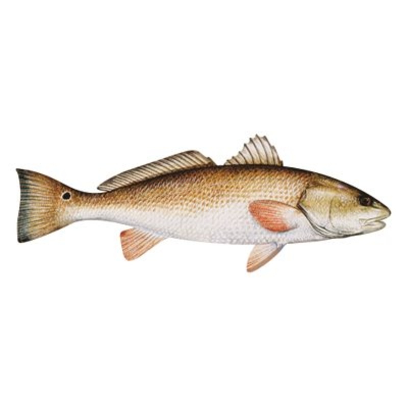 DCL174 – Decal  Redfish (Red Drum) .59″ x 1.61″ (C420)