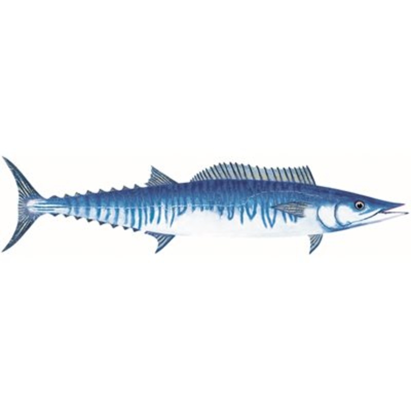 DCL200 – Decal Wahoo .55″ x 2.33″ (C439)