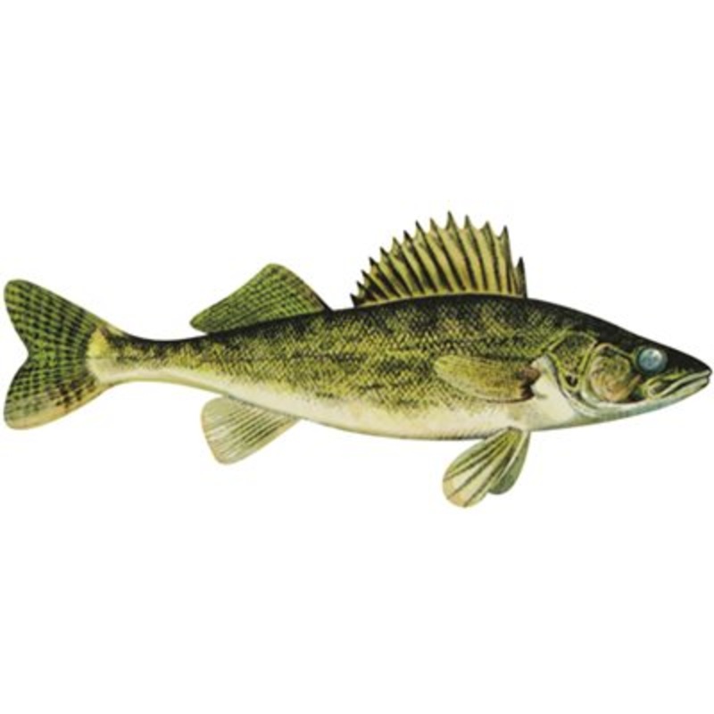 DCL201 – Decal Walleye .57″ x 1.37″ (C440)