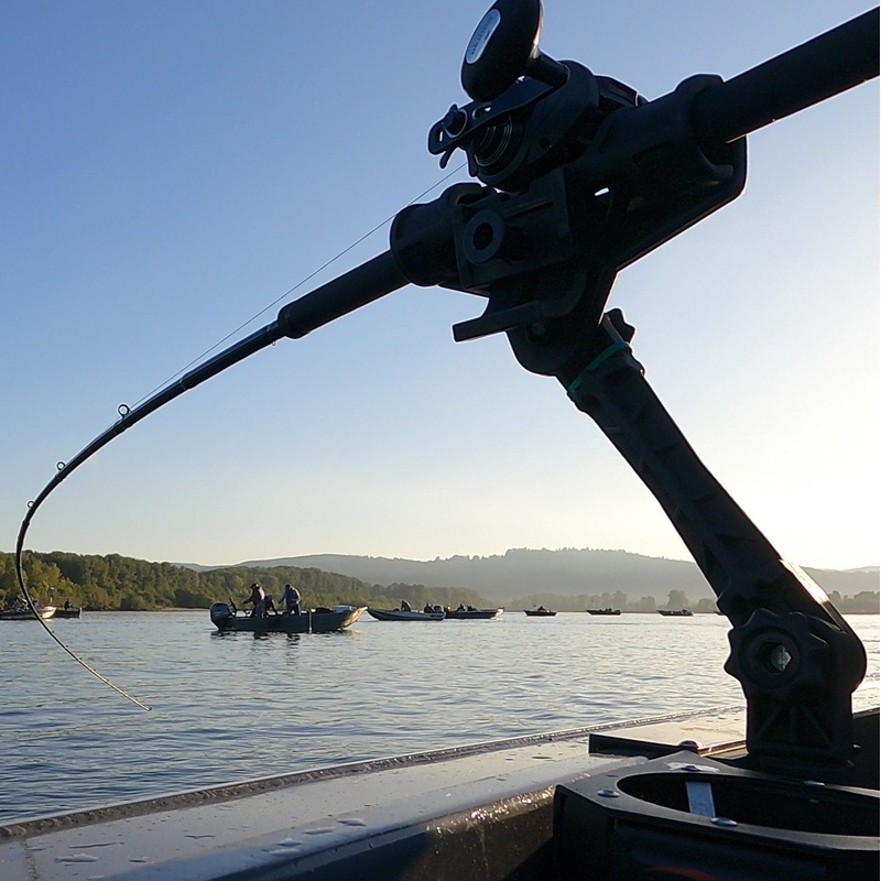 360 Troll – Salmon Trolling