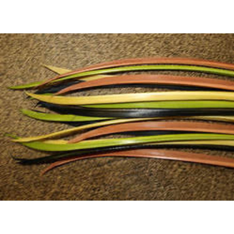 Natures Spirit Turkey Biot Strip