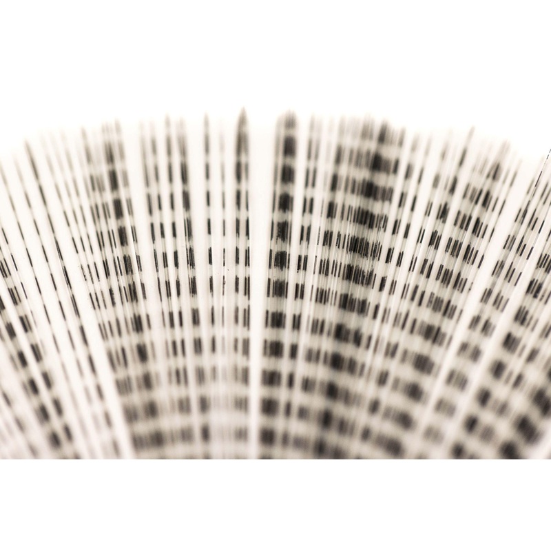 Hareline Barred Mayfly Tail