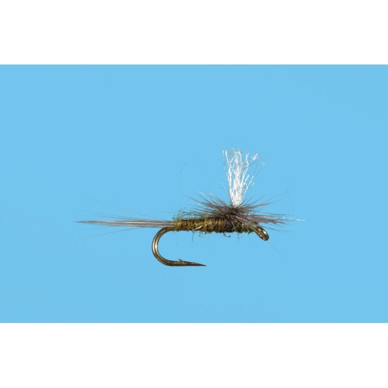 Parachute Midge
