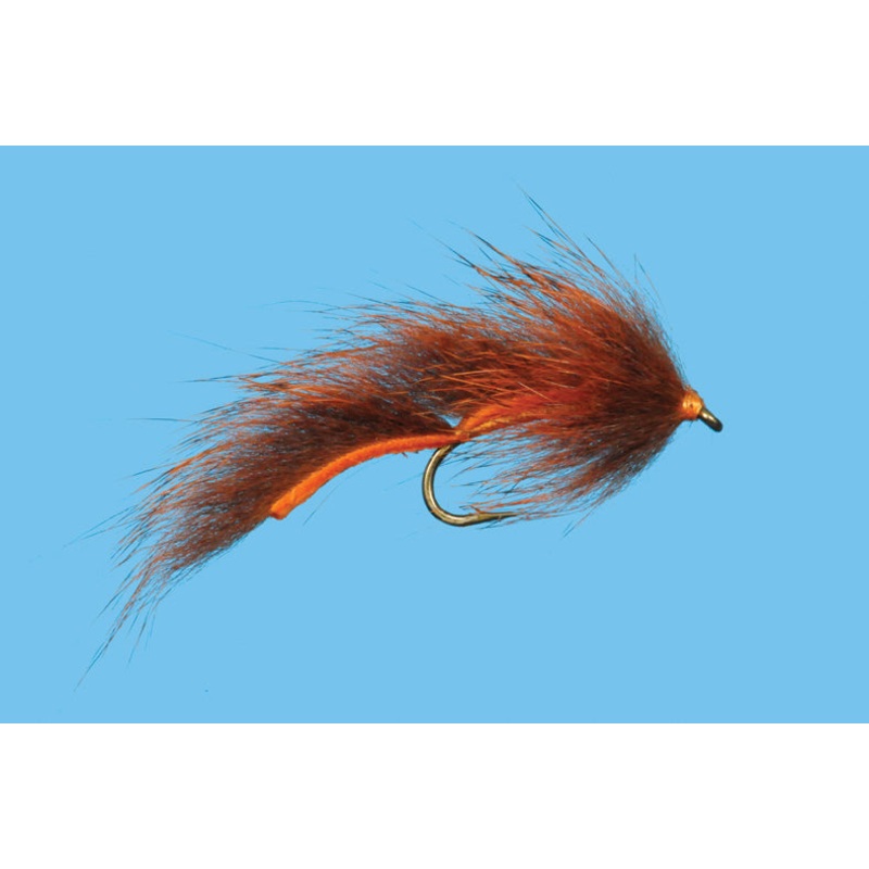 Squirrel Leech