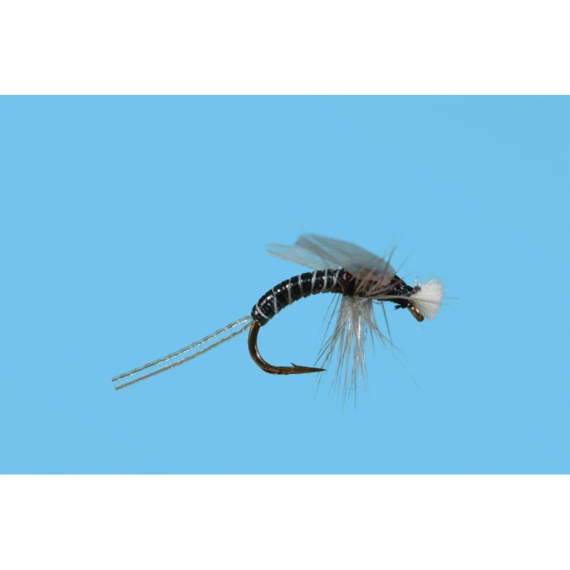 Stalcup Hatching Midge