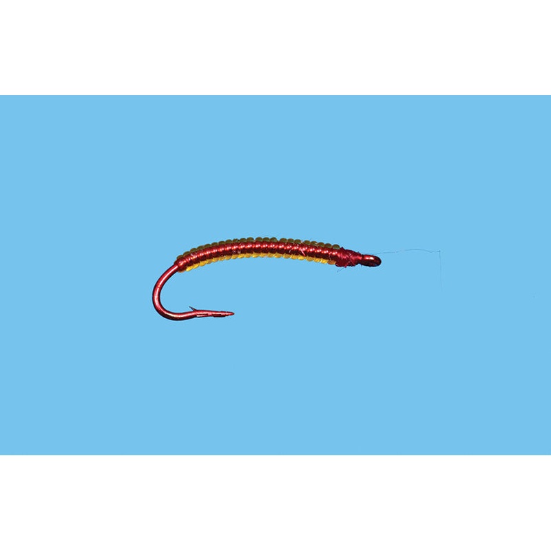 Worm Annalid