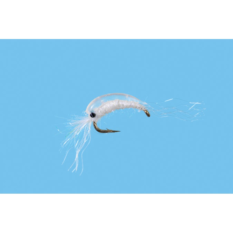BTS Mysis Shrimp