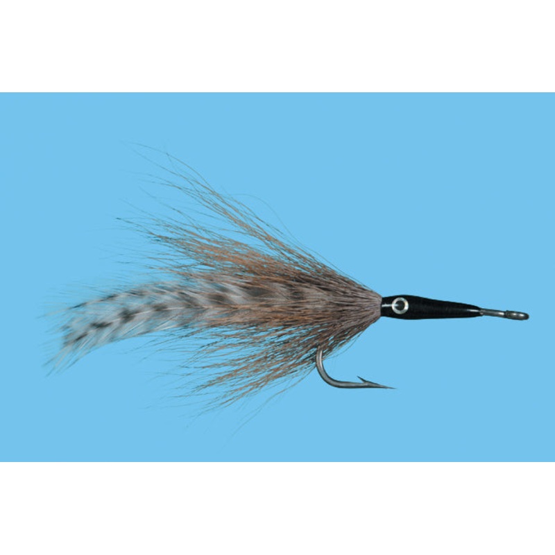 Cockroach