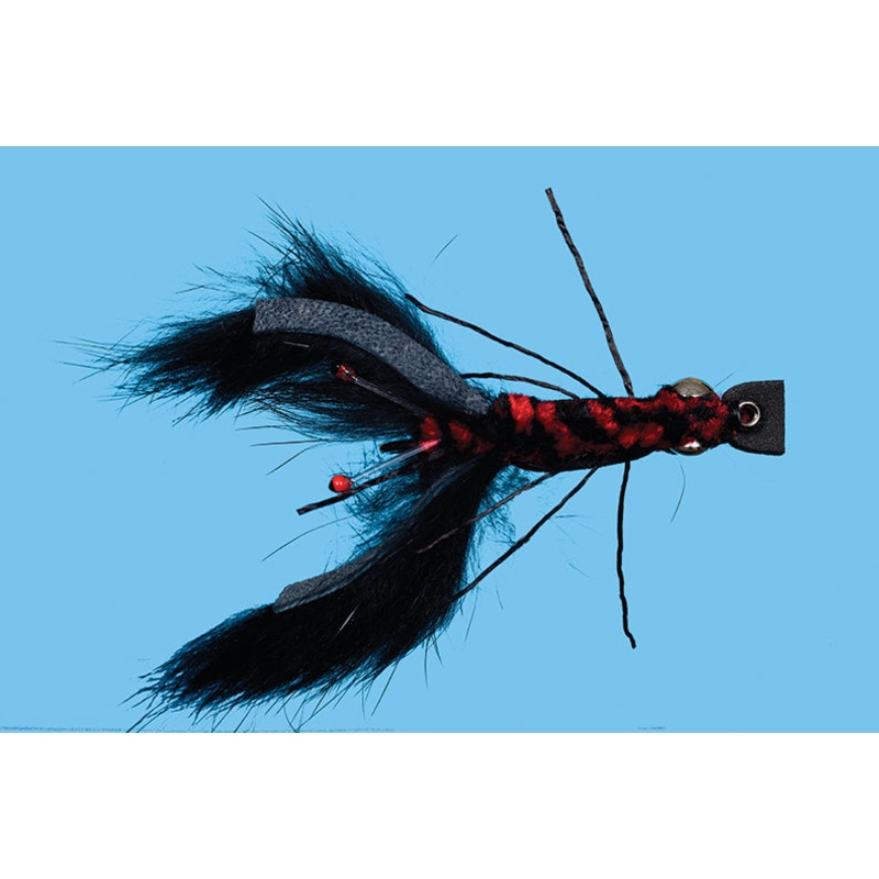 Crayfish Bunny