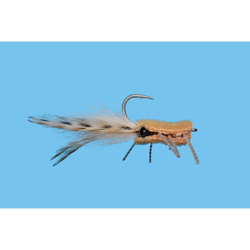Gringo Crab