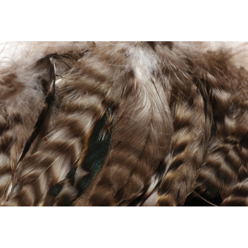 Hareline Barred Variant Schlappen 5-7″