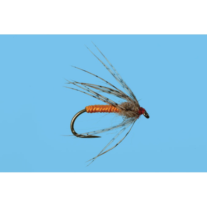 Partridge and Orange