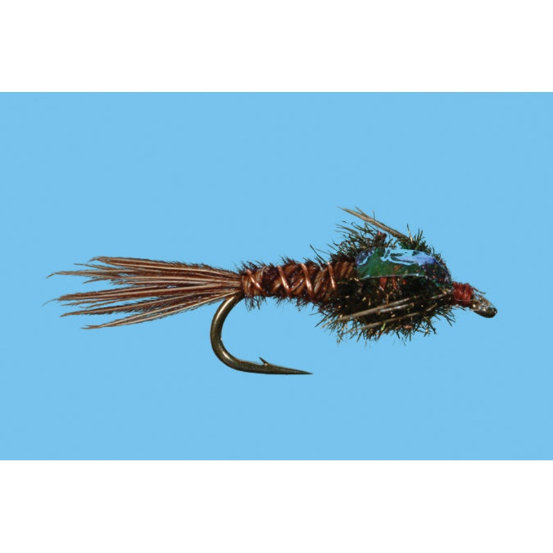 Pheasant Tail