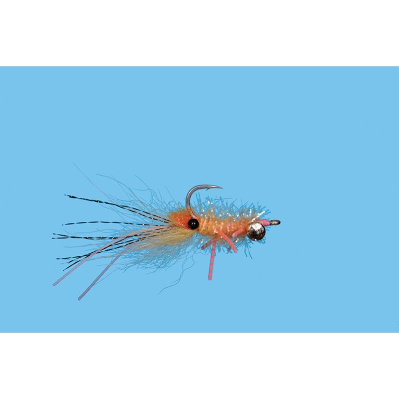 Pimp Shrimp