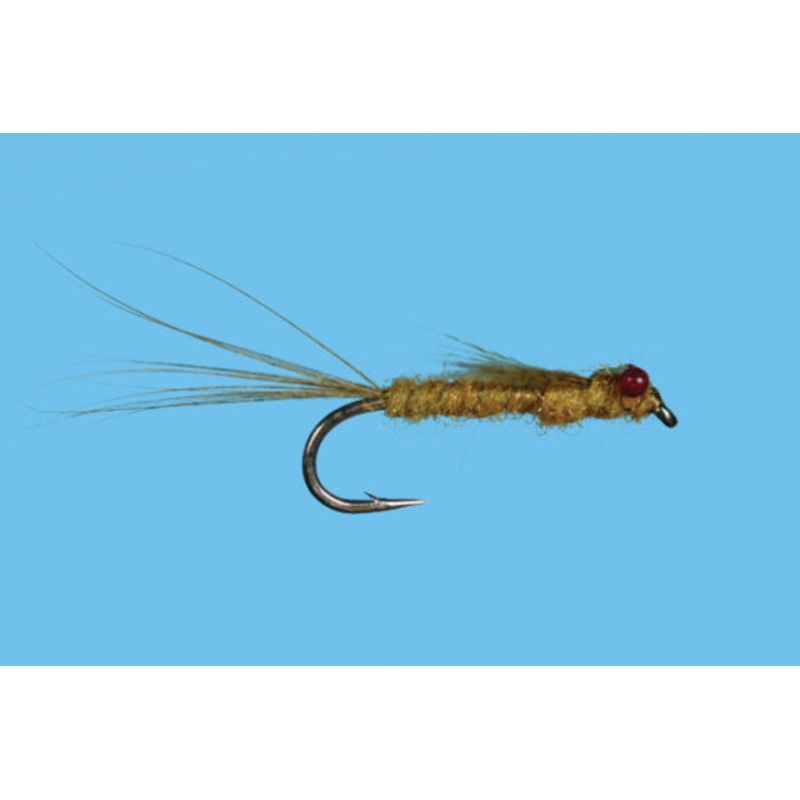 Red Eye Damsel Nymph