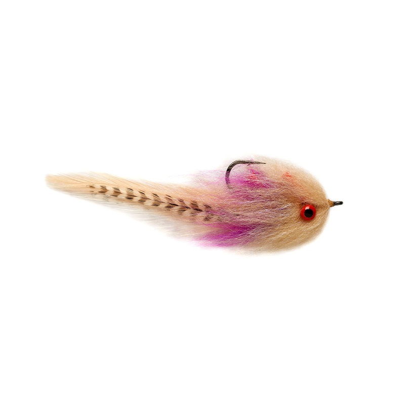 Sandbar Mullet