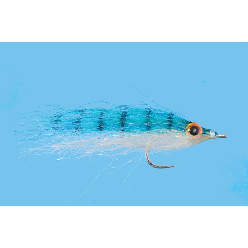 SF Baitfish