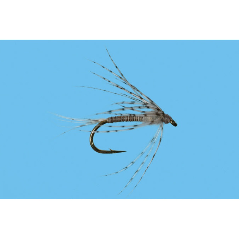 Soft Hackle Callibaetis
