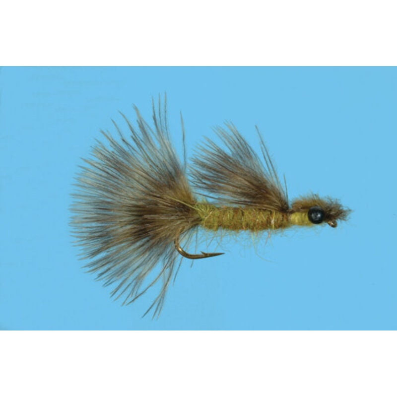 Solitude Damsel Nymph