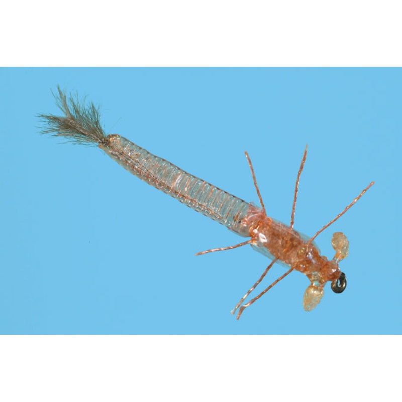 Ultra Damsel Nymph